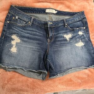 Torrid jean shorts